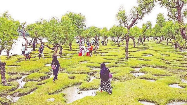 Nidra’s Char, Located In Taltali Upazila