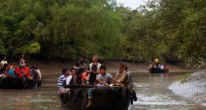 সুন্দরবন ভ্রমণ? এটি সহজ করার জন্য দশটি টিপস