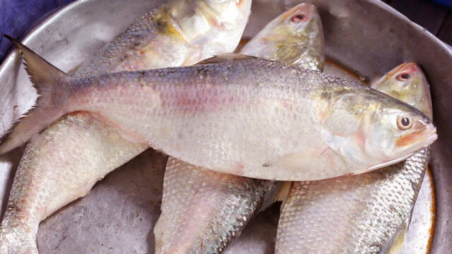 Tariff Commission Recommends