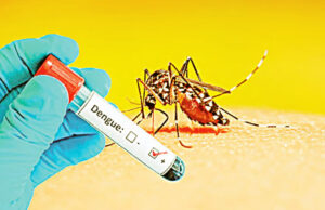 ডেঙ্গু আক্রান্তের সংখ্যা বাড়ছে, সরকার উদাসীন