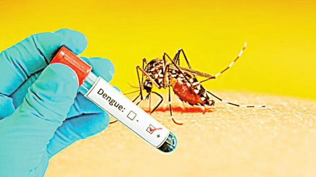 Dengue Cases Rising