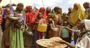 ডিসেম্বরের মধ্যে খাদ্য ঘাটতির মুখোমুখি হতে পারে দেড় কোটিরও বেশি মানুষ