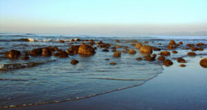 কঠোর পরিবেশবান্ধব নিয়ম মেনে শনিবার পর্যটকদের জন্য খুলে দেওয়া হল সেন্ট মার্টিন দ্বীপ