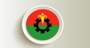 বিএনপি নেতাদের ১৯ ছেলে ও ৫ মেয়ের নাম মনোনয়ন তালিকায়