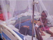 ডেঙ্গু: ২৪ ঘণ্টায় আরও ৫ জনের মৃত্যু, ১১৩৯ জন হাসপাতালে ভর্তি