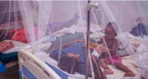 ডেঙ্গু: ২৪ ঘণ্টায় আরও ৫ জনের মৃত্যু, ১১৩৯ জন হাসপাতালে ভর্তি