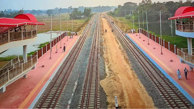 Tree Thrown On Railway