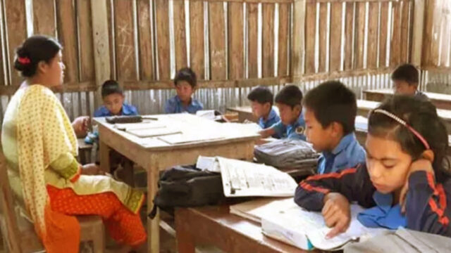 Primary School Teachers