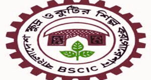 দুই বছরের প্রকল্পের জন্য জমি পেতে ১০ বছর সময় লেগেছে