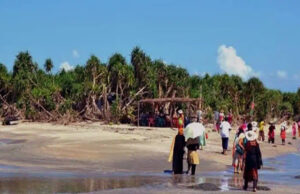 সেন্ট মার্টিনের সৌন্দর্যে মুগ্ধ পর্যটকরা, পরিবেশ সুরক্ষার উপর জোর
